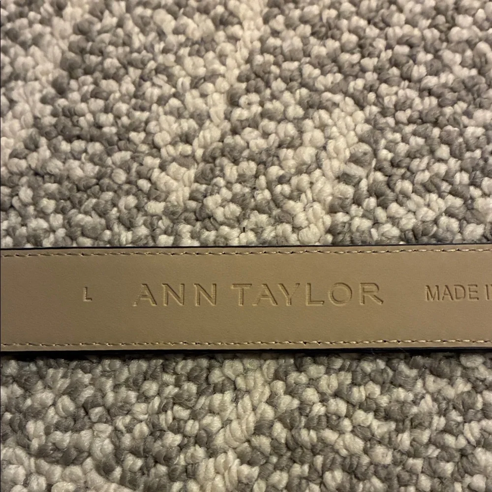 Elegant Ann Taylor checkered Belt with Gold Buckle - Picture 4 of 4